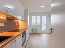 Prodej bytu 2+1, Mladá Boleslav, Palackého, 53 m2