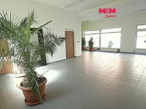 Pronájem obchodního prostoru, Ostrava - Mariánské Hory, Přemyslovců, 66 m2