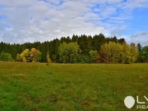 Prodej lesa, Řečice, 9184 m2