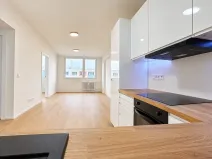 Prodej bytu 3+kk, Mladá Boleslav, U stadionu, 64 m2