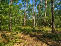 Prodej pozemku pro bydlení, Hradištko, Kersko, 4428 m2