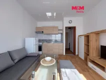 Pronájem bytu 1+kk, Klášterec nad Ohří - Miřetice u Klášterce nad Ohří, Královéhradecká, 19 m2