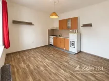 Prodej bytu 1+kk, Planá, Hřbitovní, 30 m2