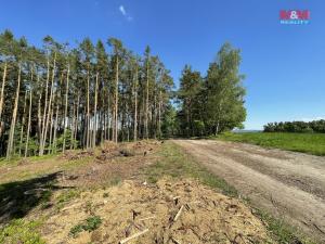 Prodej lesa, Boršov nad Vltavou, 4511 m2