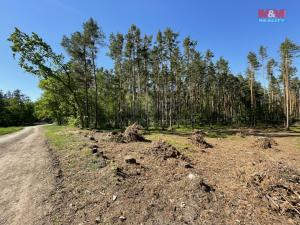 Prodej lesa, Boršov nad Vltavou, 4511 m2