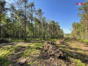 Prodej lesa, Boršov nad Vltavou, 6271 m2