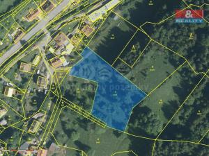 Prodej pozemku pro bydlení, Benecko - Dolní Štěpanice, 3551 m2