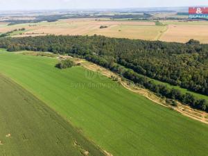 Prodej pozemku pro komerční výstavbu, Velké Heraltice, Sportovní, 65824 m2