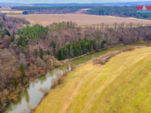 Prodej lesa, Zruč-Senec, 3632 m2