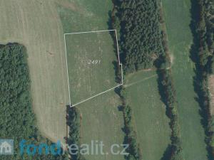 Prodej zemědělské půdy, Háje nad Jizerou, 7335 m2
