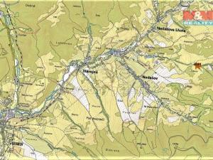 Prodej trvalého travního porostu, Nedašov, 962 m2