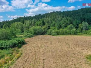 Prodej zemědělské půdy, Hůrky, 1552 m2