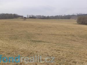 Prodej trvalého travního porostu, Malečov, 23071 m2