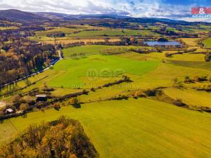 Prodej trvalého travního porostu, Kolinec, 6484 m2