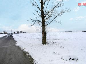 Prodej zemědělské půdy, Pernarec, 12887 m2