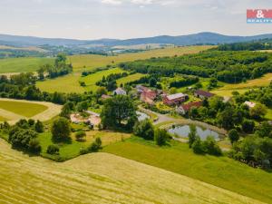 Prodej pozemku pro bydlení, Bělá nad Radbuzou - Čečín, 1325 m2