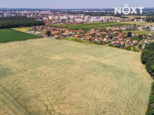 Prodej zemědělské půdy, Spojil, V Loukách, 18602 m2