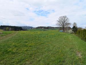 Prodej pozemku pro komerční výstavbu, Radomyšl, 10000 m2