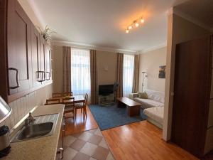 Prodej bytu 2+kk, Karlovy Vary, Zámecký vrch, 59 m2