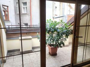 Pronájem bytu 5+kk, Praha - Nové Město, Truhlářská, 215 m2