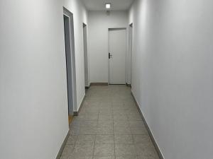 Pronájem pozemku pro komerční výstavbu, Malotice, 800 m2