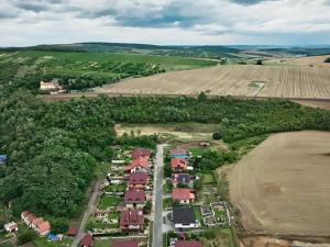 Prodej pozemku pro bydlení, Horní Bojanovice, 2900 m2