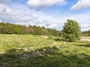 Prodej pozemku pro komerční výstavbu, Zbiroh, Líšenská, 133269 m2