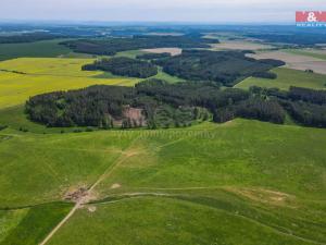 Prodej zemědělské půdy, Ostrov u Bezdružic, 49419 m2