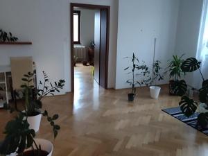 Pronájem bytu 2+1, Ústí nad Labem, Králova výšina, 62 m2