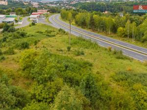 Prodej pozemku pro komerční výstavbu, Dalovice - Všeborovice, 4612 m2