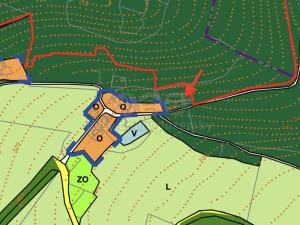 Prodej trvalého travního porostu, Nýrsko - Stará Lhota, 1110 m2