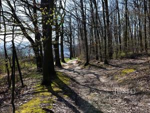 Prodej pozemku pro bydlení, Uherský Brod, 1669 m2