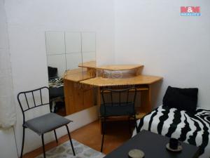 Pronájem bytu 1+kk, Praha - Vinohrady, Mánesova, 15 m2