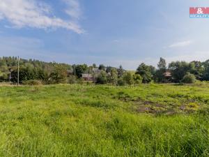 Prodej pozemku pro bydlení, Česká Rybná, 2296 m2