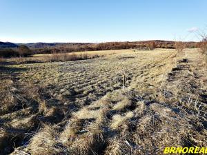 Prodej pozemku pro bydlení, Habrůvka, 3891 m2