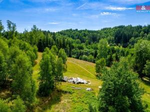 Prodej trvalého travního porostu, Dlouhý Most, 7756 m2