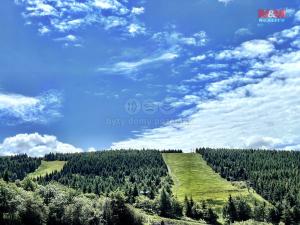 Pronájem bytu 1+kk, Loučná nad Desnou - Kouty nad Desnou, 23 m2