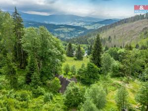 Prodej pozemku pro bydlení, Paseky nad Jizerou, 2828 m2