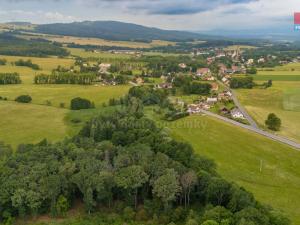 Prodej trvalého travního porostu, Dětřichov, 4178 m2