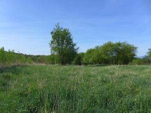 Prodej pozemku, Třeboň, 8000 m2