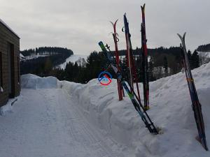 Prodej bytu 3+kk, Říčky v Orlických horách, 93 m2