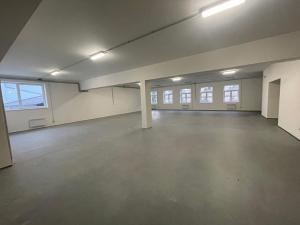 Prodej výrobních prostor, Krásná Lípa, 2600 m2