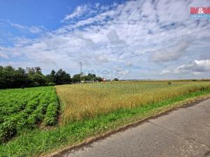 Prodej zemědělské půdy, Hlinsko - Čertovina, 12550 m2