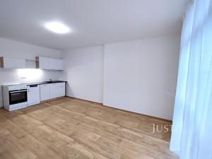 Pronájem bytu 1+kk, Čížová, 27 m2