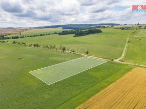 Prodej zemědělské půdy, Horní Bělá, 5000 m2