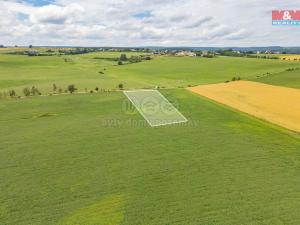 Prodej zemědělské půdy, Horní Bělá, 5000 m2