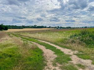 Prodej trvalého travního porostu, Vojkovice, 18352 m2