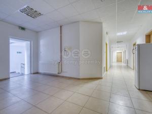 Pronájem ubytování, Břasy, 290 m2