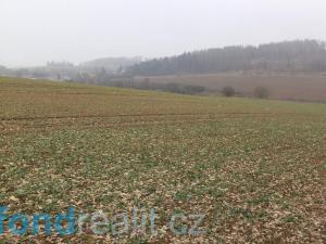 Prodej zemědělské půdy, Zvěstov, 51077 m2