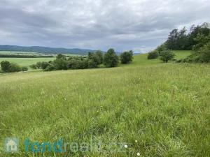 Prodej zemědělské půdy, Všeradice, 7934 m2